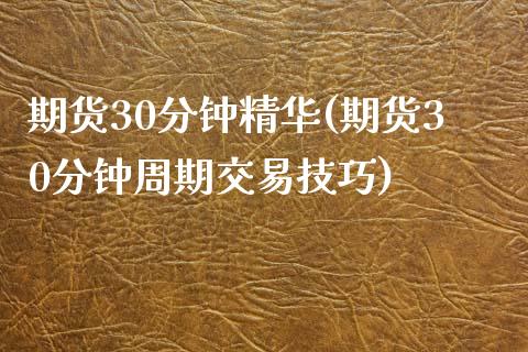 期货30分钟精华(期货30分钟周期交易技巧)_https://www.xmqjcw.com_期货百科_第1张