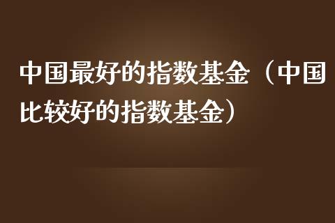 中国最好的指数基金（中国比较好的指数基金）_https://www.xmqjcw.com_期货行情_第1张