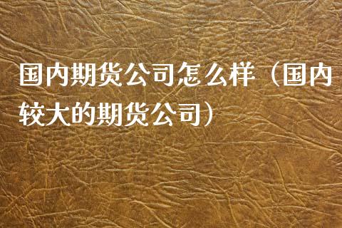 国内期货公司怎么样（国内较大的期货公司）_https://www.xmqjcw.com_期货投资_第1张