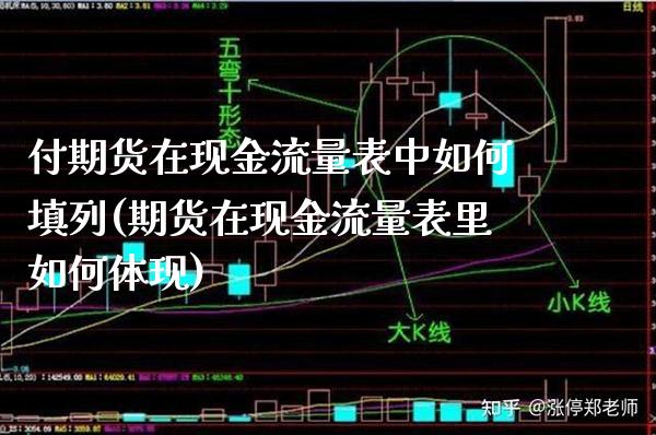 付期货在现金流量表中如何填列(期货在现金流量表里如何体现)_https://www.xmqjcw.com_期货投资_第1张