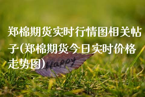 郑棉期货实时行情图相关帖子(郑棉期货今日实时价格走势图)_https://www.xmqjcw.com_期货行情_第1张