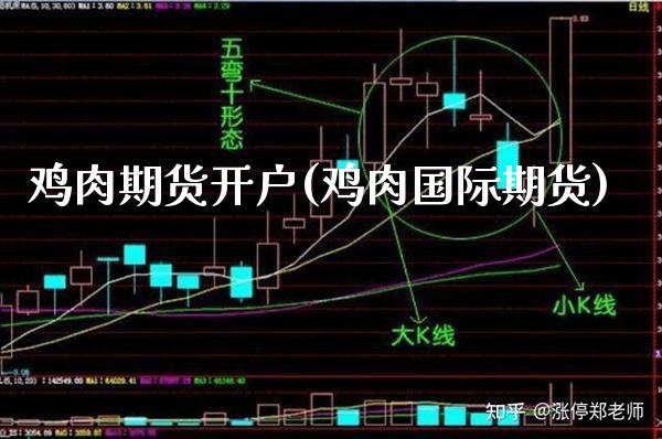 鸡肉期货开户(鸡肉国际期货)_https://www.xmqjcw.com_期货开户_第1张