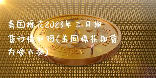 美国棉花2023年三月期货行情如何(美国棉花期货为啥大涨)_https://www.xmqjcw.com_期货开户_第1张