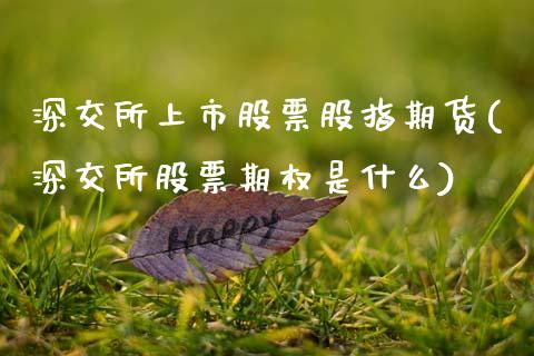 深交所上市股票股指期货(深交所股票期权是什么)_期货百科_第1张_秦聚理财 深交所上市股票股指期货(深交所股票期权是什么)_https://www.xmqjcw.com_期货百科_第1张