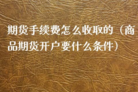 期货手续费怎么收取的（商品期货开户要什么条件）_https://www.xmqjcw.com_期货行情_第1张
