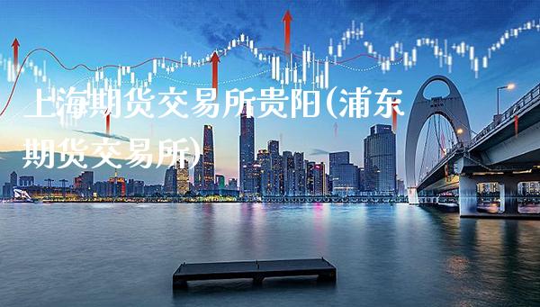 上海期货交易所贵阳(浦东期货交易所)_https://www.xmqjcw.com_期货投资_第1张