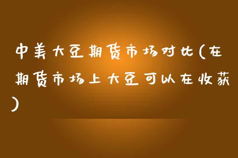 中美大豆期货市场对比(在期货市场上大豆可以在收获)_https://www.xmqjcw.com_期货百科_第1张