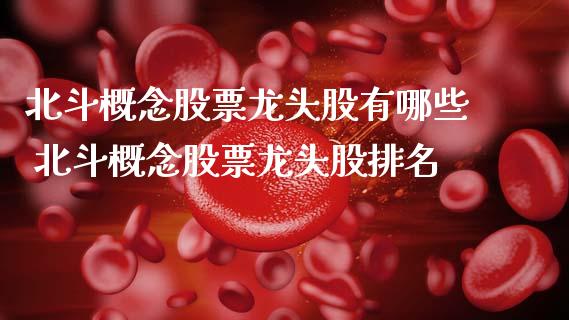 北斗概念股票龙头股有哪些 北斗概念股票龙头股排名_https://www.xmqjcw.com_股票投资_第1张