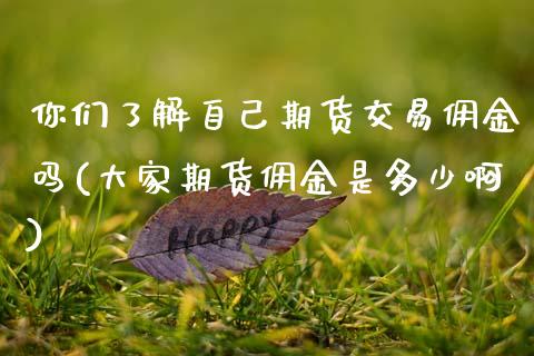 你们了解自己期货交易佣金吗(大家期货佣金是多少啊)_https://www.xmqjcw.com_期货行情_第1张