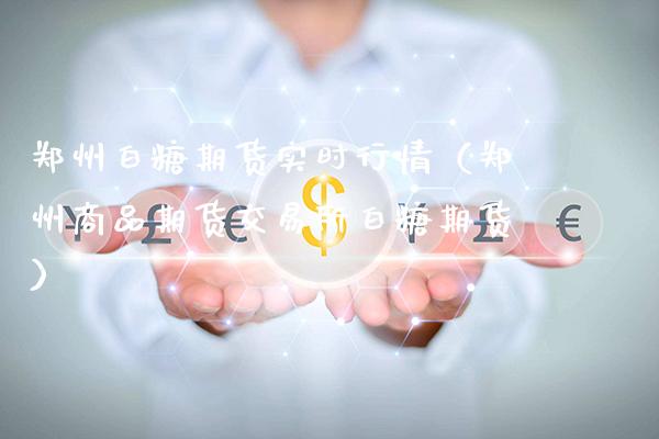 郑州白糖期货实时行情（郑州商品期货交易所白糖期货）_https://www.xmqjcw.com_期货投资_第1张