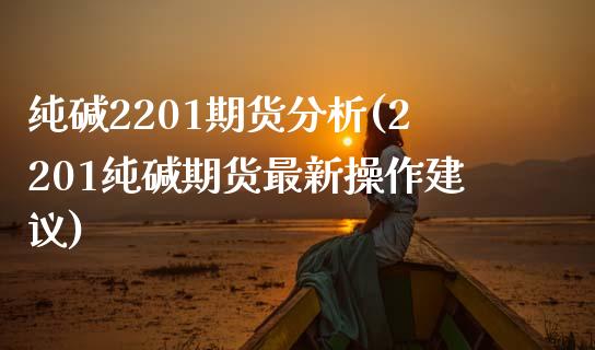 纯碱2201期货分析(2201纯碱期货最新操作建议)_https://www.xmqjcw.com_期货投资_第1张