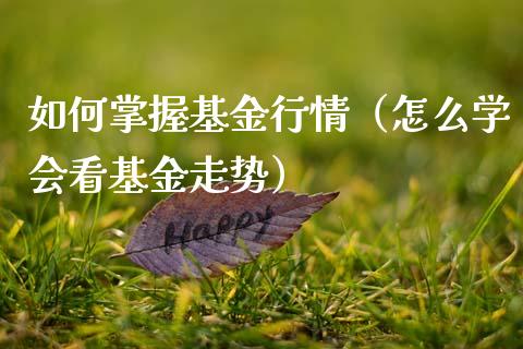 如何掌握基金行情（怎么学会看基金走势）_https://www.xmqjcw.com_基金理财_第1张