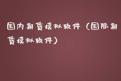 国内期货模拟软件（国际期货模拟软件）_https://www.xmqjcw.com_期货开户_第1张