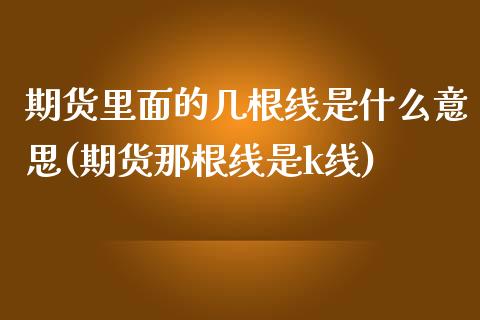 期货里面的几根线是什么意思(期货那根线是k线)_https://www.xmqjcw.com_期货百科_第1张