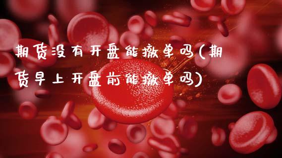 期货没有开盘能撤单吗(期货早上开盘前能撤单吗)_https://www.xmqjcw.com_期货行情_第1张