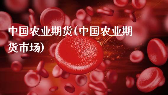 中国农业期货(中国农业期货市场)_https://www.xmqjcw.com_期货行情_第1张