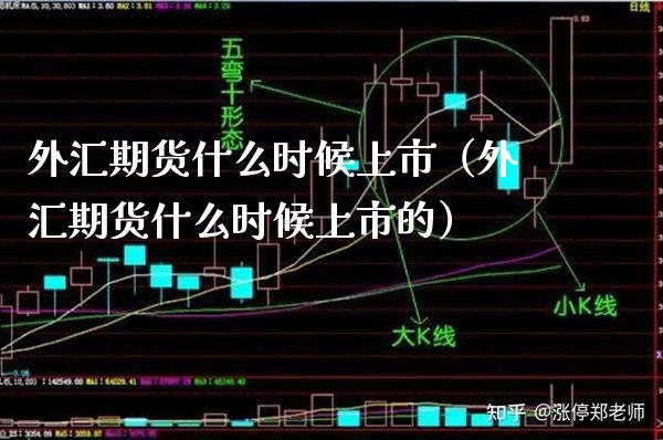 外汇期货什么时候上市（外汇期货什么时候上市的）_https://www.xmqjcw.com_期货直播室_第1张