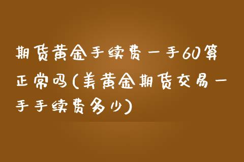 期货黄金手续费一手60算正常吗(美黄金期货交易一手手续费多少)_https://www.xmqjcw.com_期货百科_第1张