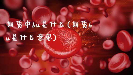 期货中bu是什么(期货bu是什么意思)_https://www.xmqjcw.com_期货百科_第1张