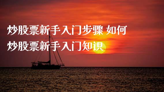 炒股票新手入门步骤 如何炒股票新手入门知识_https://www.xmqjcw.com_股票投资_第1张