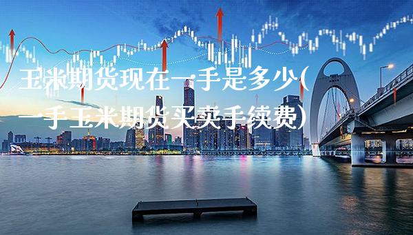 玉米期货现在一手是多少(一手玉米期货买卖手续费)_https://www.xmqjcw.com_期货直播室_第1张