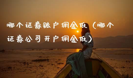 哪个证券账户佣金低（哪个证券公司开户佣金低）_https://www.xmqjcw.com_期货投资_第1张