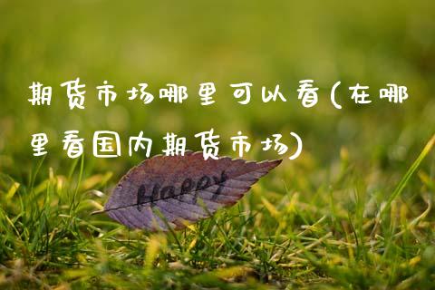 期货市场哪里可以看(在哪里看国内期货市场)_https://www.xmqjcw.com_期货直播室_第1张