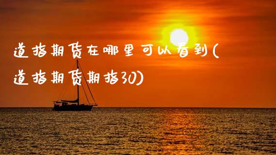 道指期货在哪里可以看到(道指期货期指30)_https://www.xmqjcw.com_期货百科_第1张
