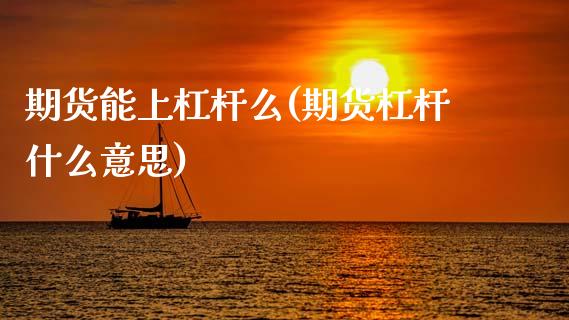 期货能上杠杆么(期货杠杆什么意思)_https://www.xmqjcw.com_期货行情_第1张