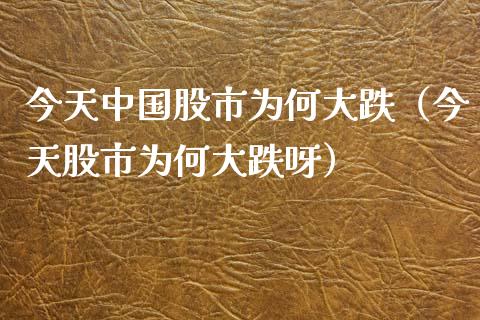 今天中国股市为何大跌（今天股市为何大跌呀）_https://www.xmqjcw.com_期货开户_第1张