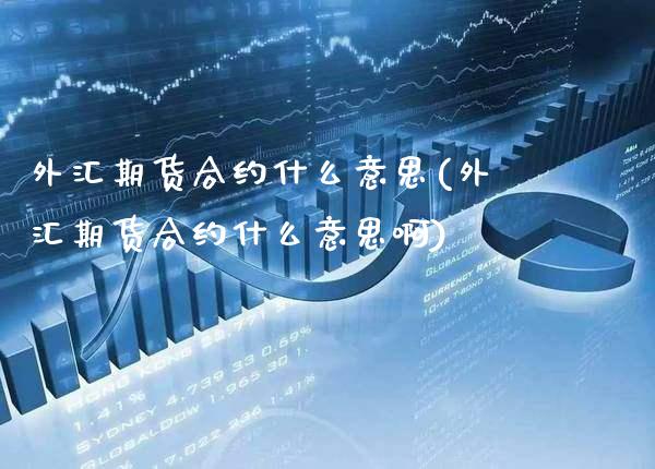 外汇期货合约什么意思(外汇期货合约什么意思啊)_https://www.xmqjcw.com_期货投资_第1张