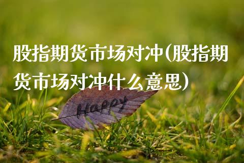 股指期货市场对冲(股指期货市场对冲什么意思)_https://www.xmqjcw.com_期货直播室_第1张