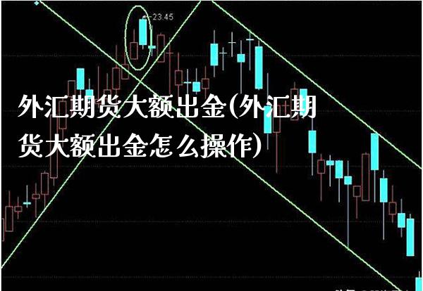 外汇期货大额出金(外汇期货大额出金怎么操作)_https://www.xmqjcw.com_期货百科_第1张