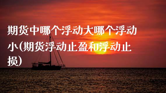 期货中哪个浮动大哪个浮动小(期货浮动止盈和浮动止损)_https://www.xmqjcw.com_期货百科_第1张