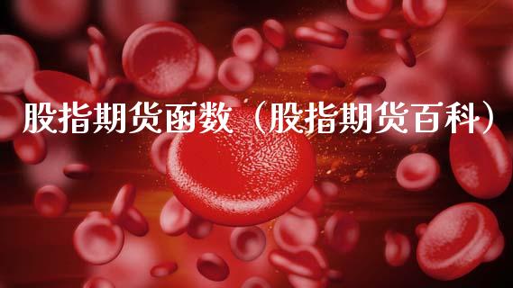 股指期货函数（股指期货百科）_https://www.xmqjcw.com_期货投资_第1张