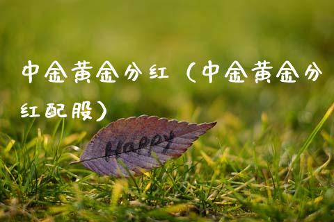中金黄金分红（中金黄金分红配股）_https://www.xmqjcw.com_期货投资_第1张