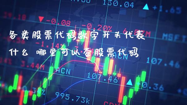 各类股票代码数字开头代表什么 哪里可以查股票代码_https://www.xmqjcw.com_股票投资_第1张