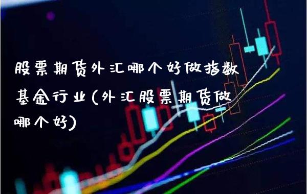 股票期货外汇哪个好做指数基金行业(外汇股票期货做哪个好)_https://www.xmqjcw.com_期货百科_第1张