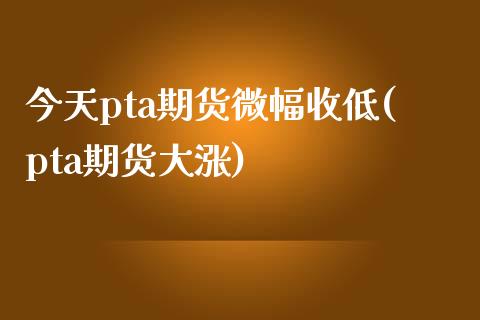 今天pta期货微幅收低(pta期货大涨)_https://www.xmqjcw.com_基金理财_第1张