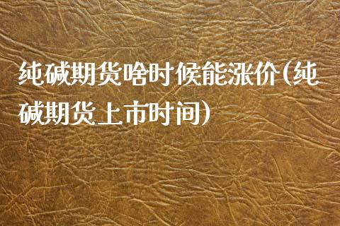 纯碱期货啥时候能涨价(纯碱期货上市时间)_https://www.xmqjcw.com_期货投资_第1张