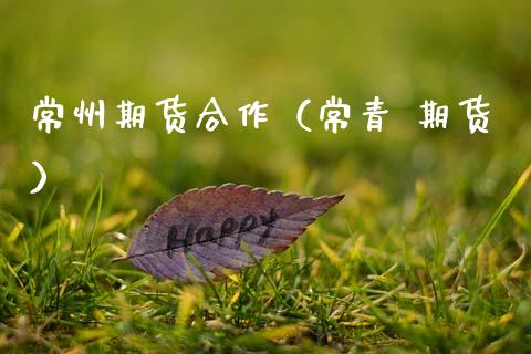 常州期货合作（常青 期货）_https://www.xmqjcw.com_期货投资_第1张
