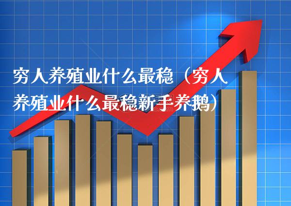 **养殖业什么最稳（**养殖业什么最稳新手养鹅）_https://www.xmqjcw.com_期货投资_第1张