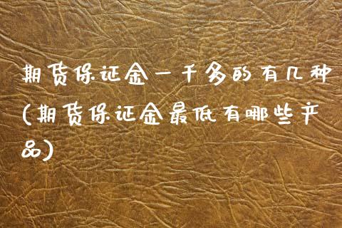期货保证金一千多的有几种(期货保证金最低有哪些产品)_https://www.xmqjcw.com_期货开户_第1张