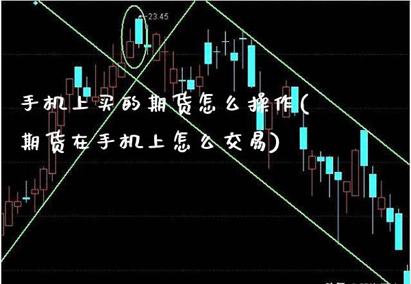 手机上买的期货怎么操作(期货在手机上怎么交易)_https://www.xmqjcw.com_期货开户_第1张