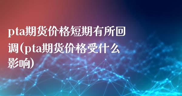pta期货价格短期有所回调(pta期货价格受什么影响)_https://www.xmqjcw.com_基金理财_第1张