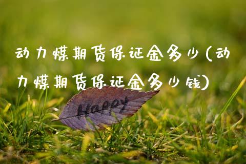动力煤期货保证金多少(动力煤期货保证金多少钱)_https://www.xmqjcw.com_期货直播室_第1张