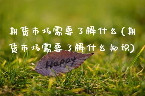 期货市场需要了解什么(期货市场需要了解什么知识)_https://www.xmqjcw.com_期货直播室_第1张