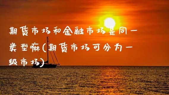 期货市场和金融市场是同一类型嘛(期货市场可分为一级市场)_https://www.xmqjcw.com_期货百科_第1张