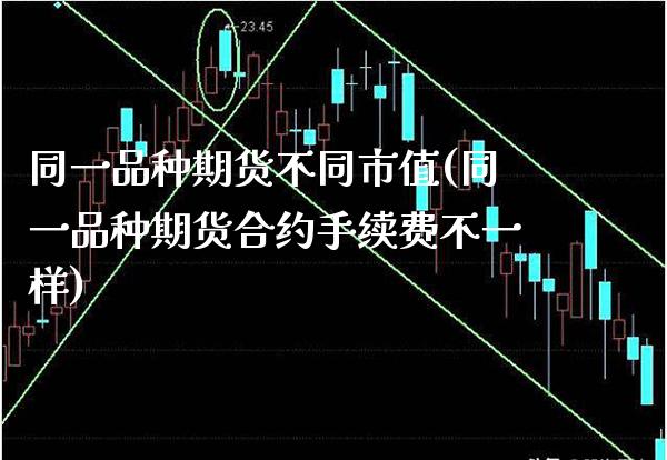 同一品种期货不同市值(同一品种期货合约手续费不一样)_https://www.xmqjcw.com_期货百科_第1张