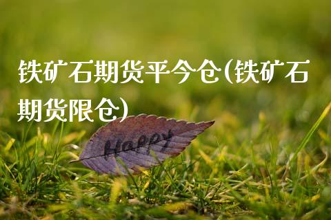 铁矿石期货平今仓(铁矿石期货限仓)_https://www.xmqjcw.com_期货百科_第1张